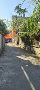Bán Đất Việt Hưng 68,3m² Ô Tô Tránh 11,4 Tỷ